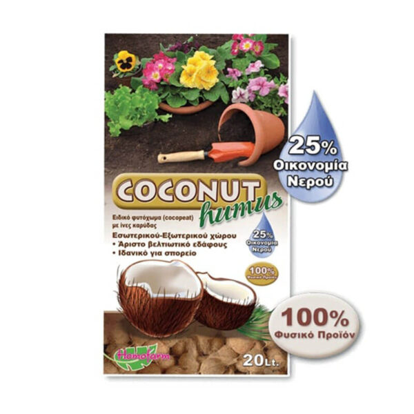 Coconut Humus